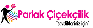 Sultangazi Çiçekçi 0 507 588 93 44 sultangazide çiçekçi Sultangazi Çiçek Siparişi